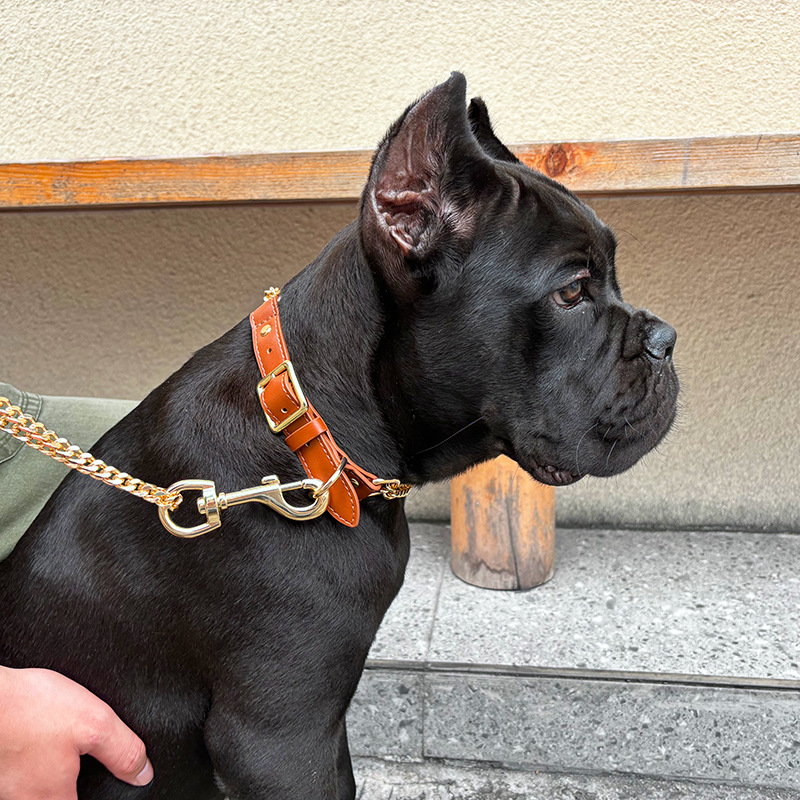 Loudik Wholesale Pet Collar Le - Leather Strap Quick Release review and price
